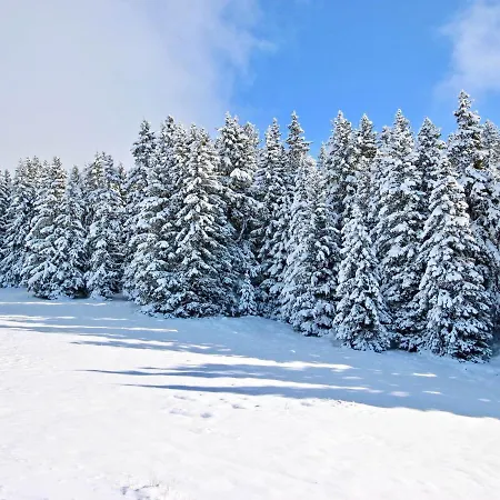 Apartment 2 Pieces 6 Pers. 3* A Chamrousse, Balcon Pied Des Pistes *